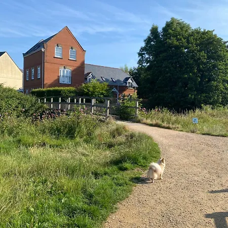 Cosy Cottage In Bridport Centre Exterior photo