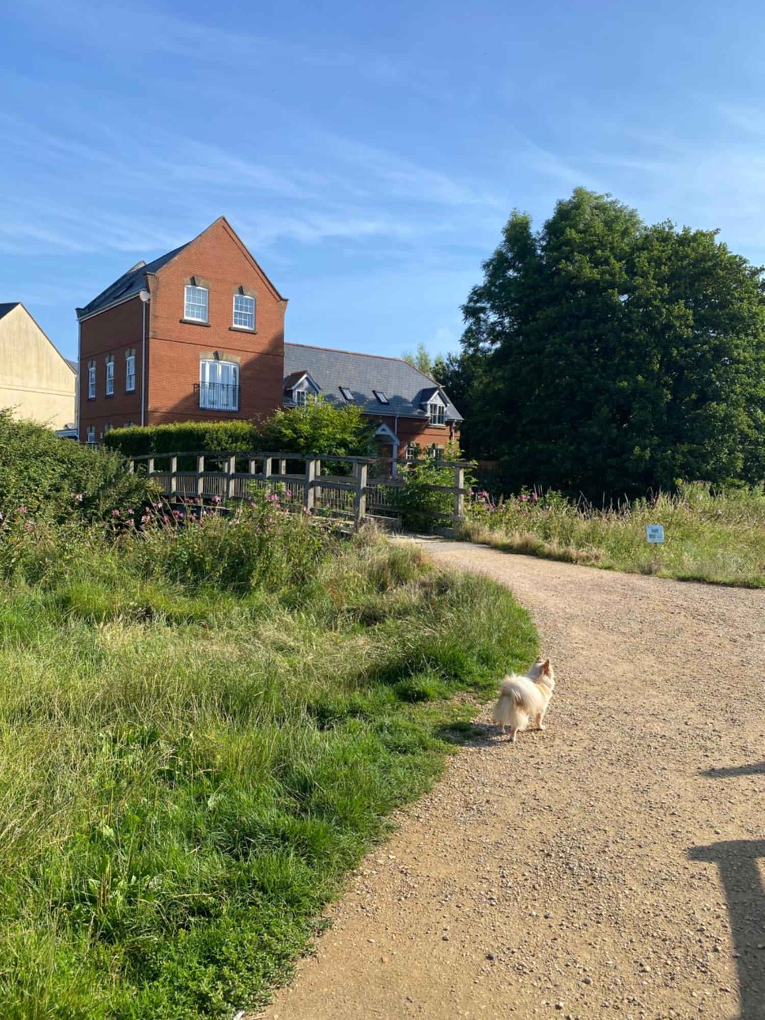Holiday home Cosy In Centre Bridport
